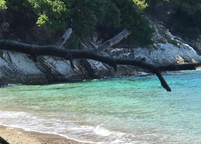 Maria Corfu Loustri