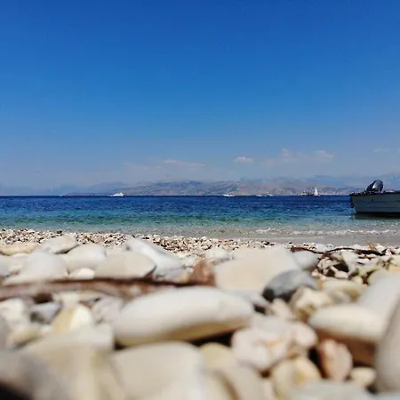 Maria Corfu Loustri *