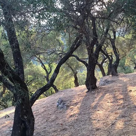 Maison d'hôtes Maria Corfu Loustri 3*